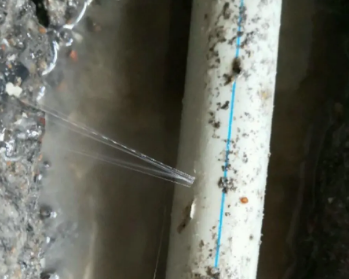 当阳卫生间测漏水多少钱