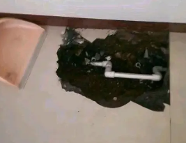当阳卫生间测漏水多少钱